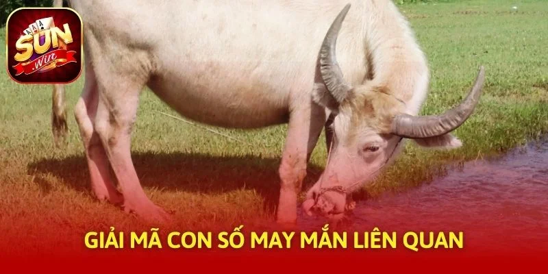 Giải mã con số may mắn liên quan