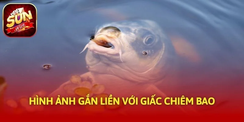 Hình ảnh gắn liền với giấc chiêm bao