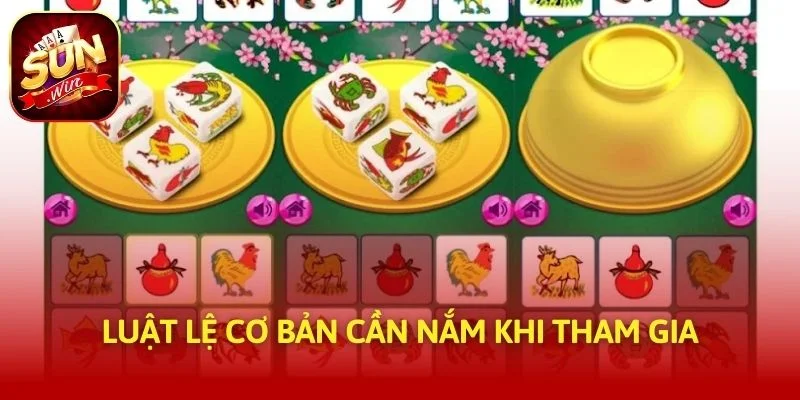 Luật lệ cơ bản cần nắm khi tham gia