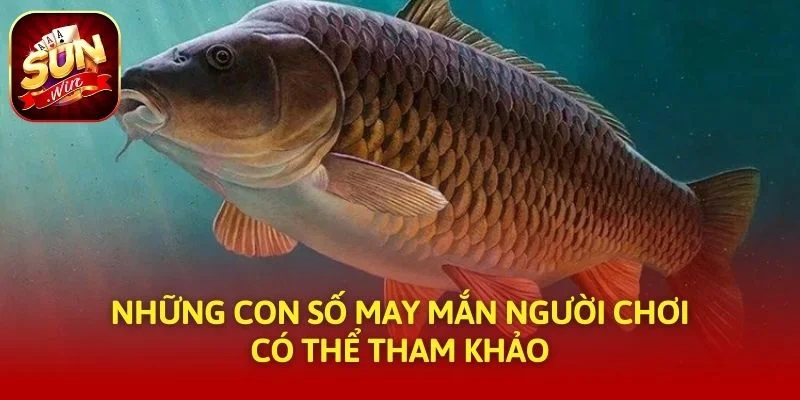 Những con số may mắn người chơi có thể tham khảo