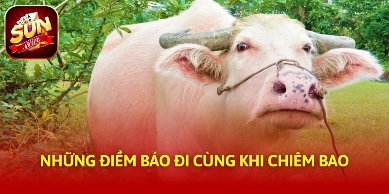 Những điềm báo đi cùng khi chiêm bao
