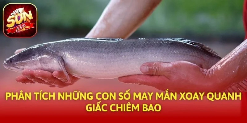 Phân tích những con số may mắn xoay quanh giấc chiêm bao
