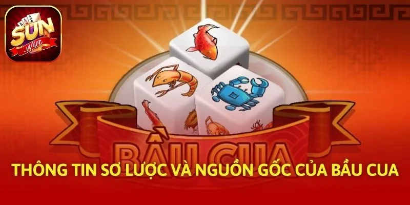 Thông tin sơ lược và nguồn gốc của bầu cua