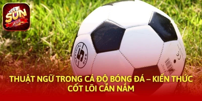 Thuật Ngữ Trong Cá Độ Bóng Đá – Kiến Thức Cốt Lõi Cần Nắm