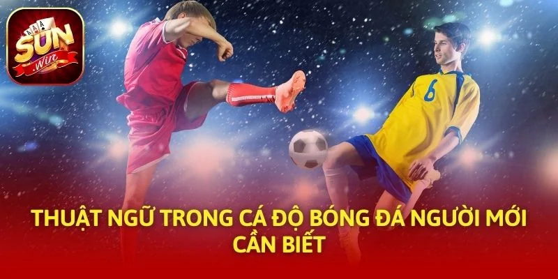 Thuật Ngữ Trong Cá Độ Bóng Đá người mới cần biết