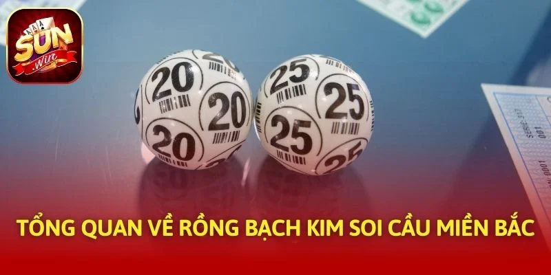 Tổng quan về rồng bạch kim soi cầu miền bắc