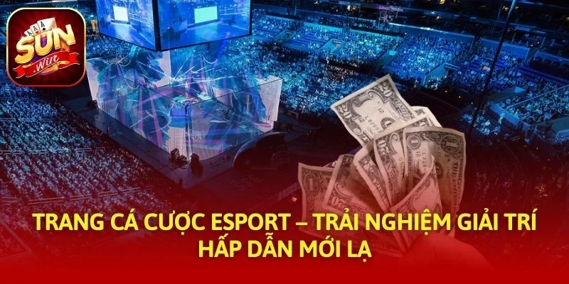 Trang cá cược Esport – Trải Nghiệm Giải Trí Hấp Dẫn Mới Lạ